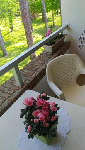 Precioso apartamento en un entorno verde y tranquilo en playa mansa